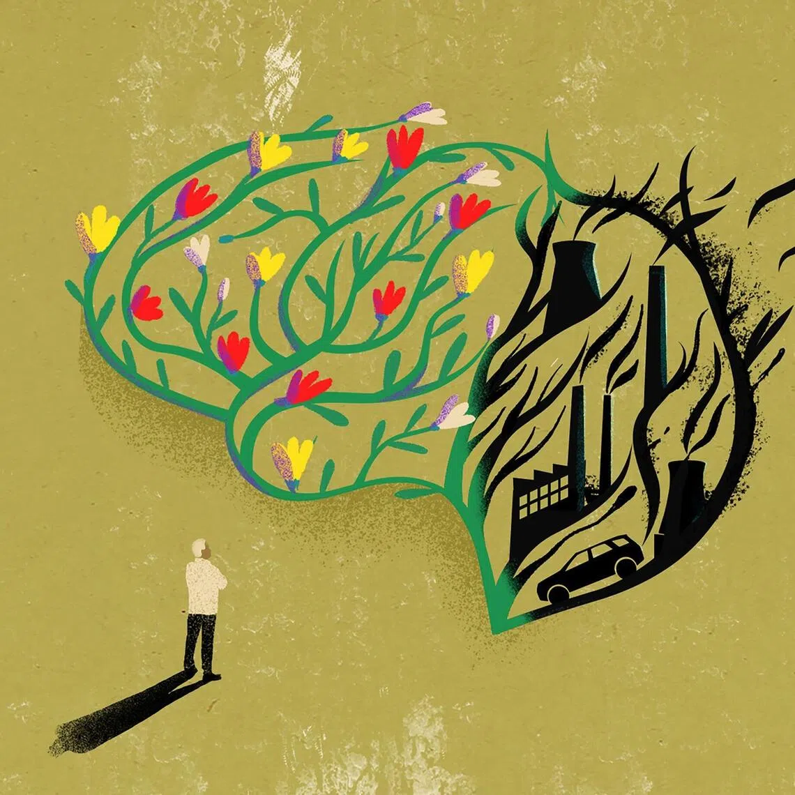 Studies increasingly find links between higher concentrations of certain pollutants and the prevalence of dementia.