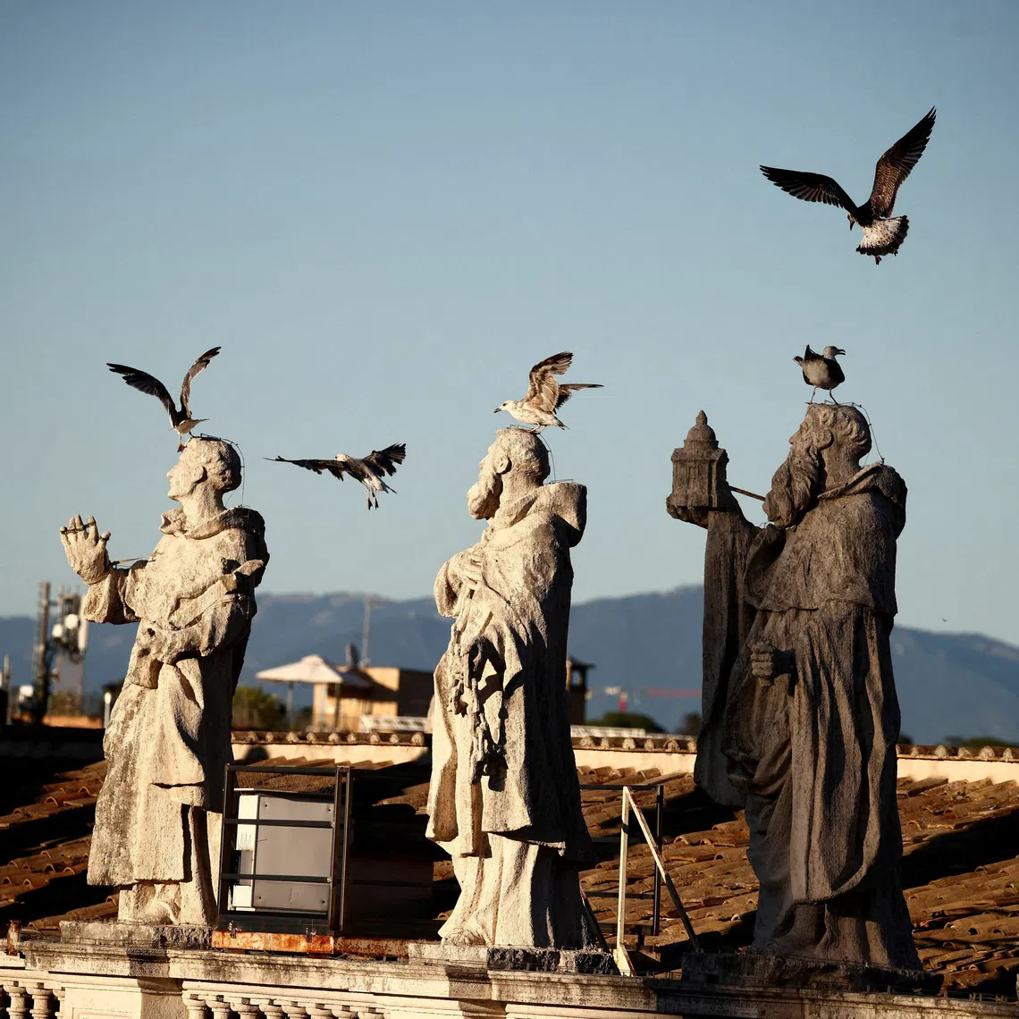 FILE PHOTO: Seagulls fly over statues on the colonnade of St. Peter's Square during the welcome Mass of the Jubilee of Youth in St. Peter's Square, at the Vatican, July 29, 2025. REUTERS/Yara Nardi/File Photo