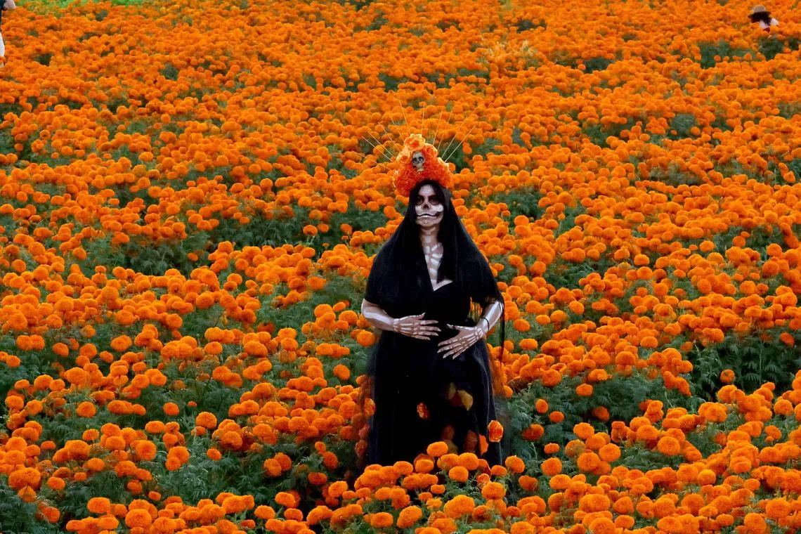 A woman dressed as Catrina poses for a photo in a field of Cempazuchitl flower - Mexican Marigold (Tagetes erecta) - as part of the preparations for the Day of the Dead celebration in Mexico on October 26.