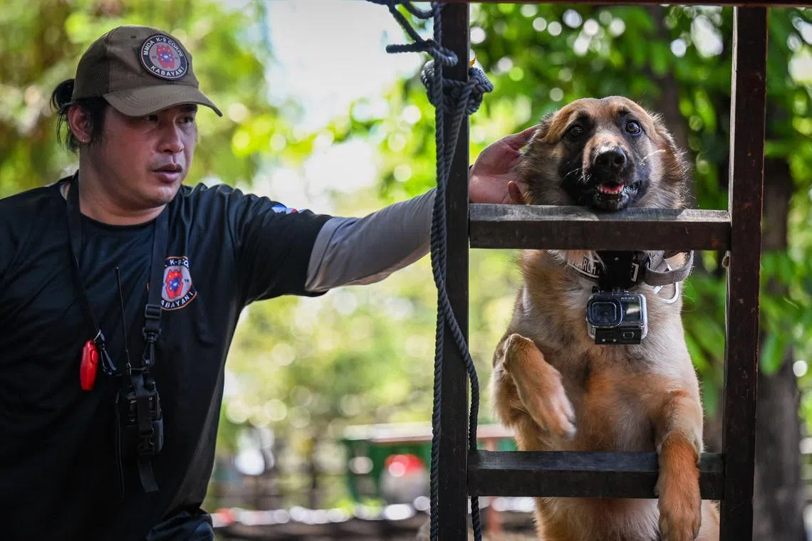 A trainer guides a dog during a search-and-rescue programme at a suburb outside the Philippine capital Manila.