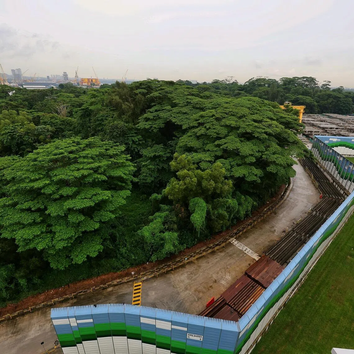 The Sembawang North forest (N5 plot) as seen from 513 Wellington Circle on June 22. Two environmental impact assessments commissioned by HDB were published on June 19. They revealed the environmental impact of developments in Sembawang and Tengah.