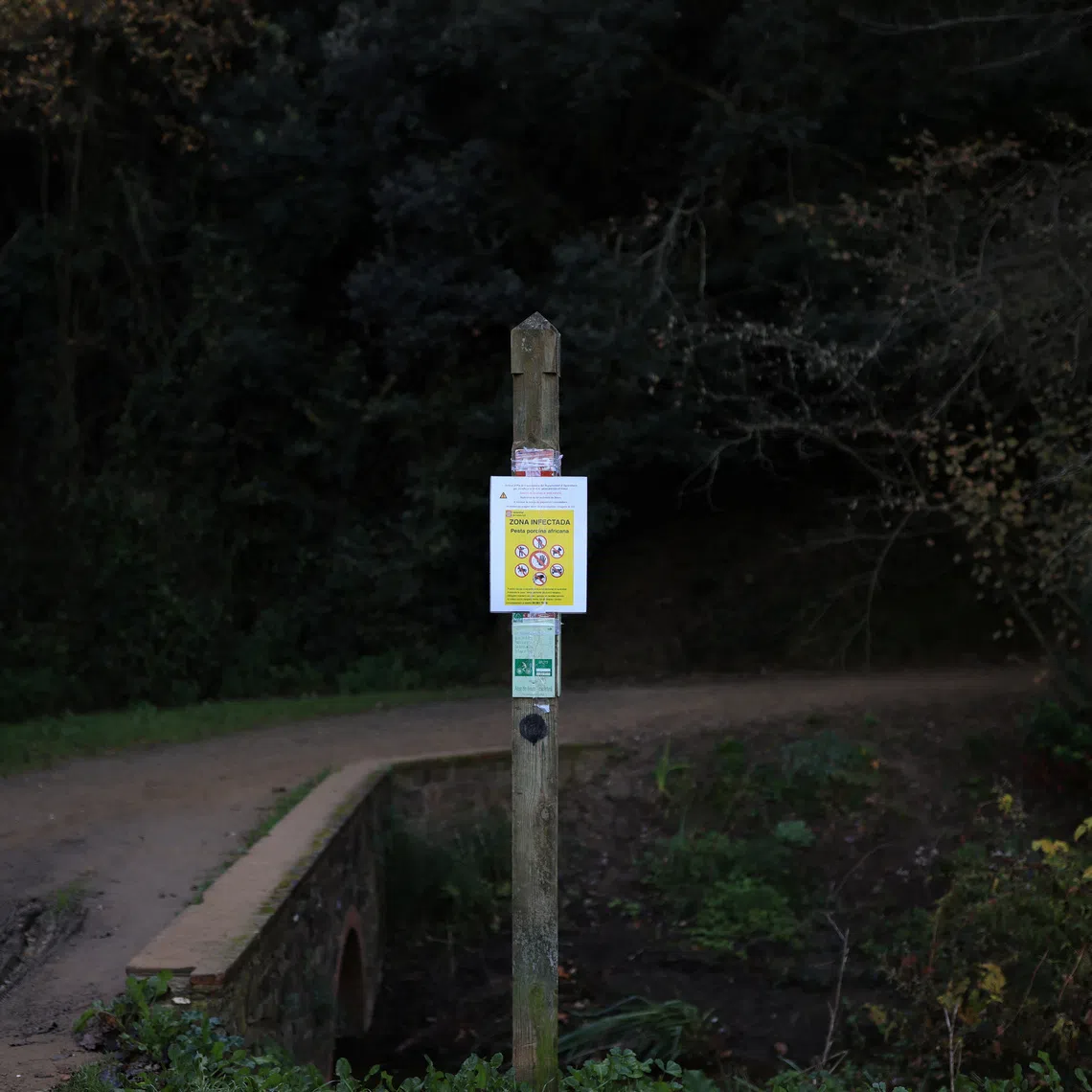A sign shows an infected area by the African swine fever virus, at Collserola Park, in Cerdanyola del Valles, on the outskirts of Barcelona, Spain, December 1, 2025. REUTERS/Nacho Doce
