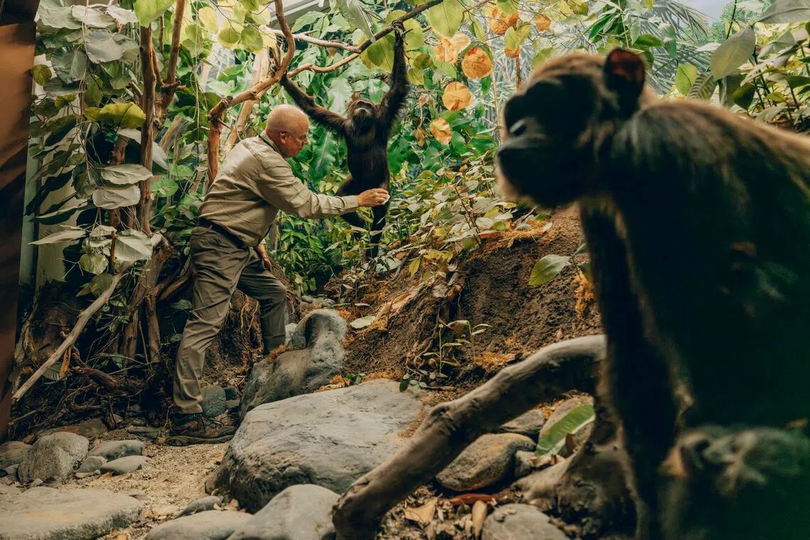 Taxidermist Tim Bovard at works at the Natural History Museum of Los Angeles County. At 11, he undertook his first taxidermy experiment on a piece of roadkill.