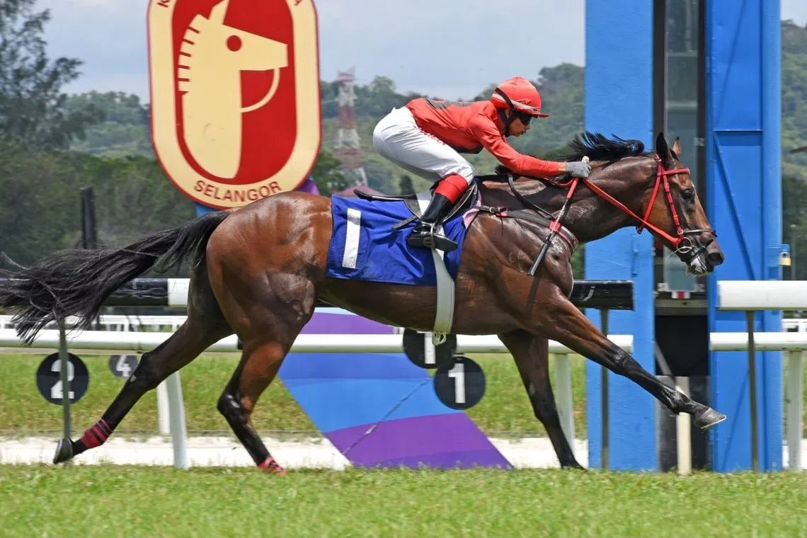 Banker’s Dream can come true again