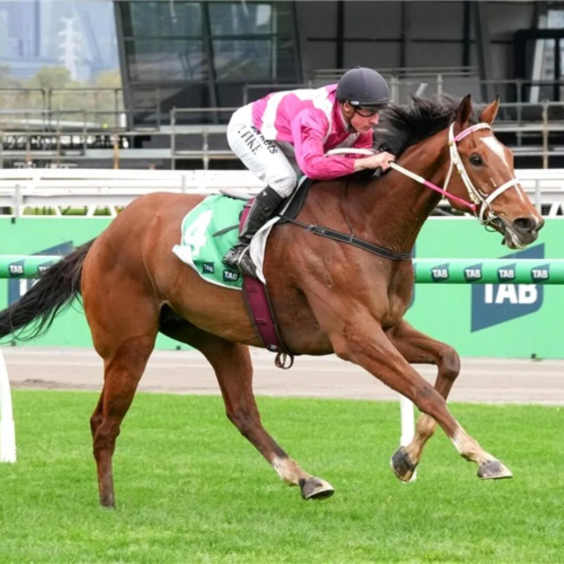 Cosmic Crusader
PHOTO:  RACING PHOTOS