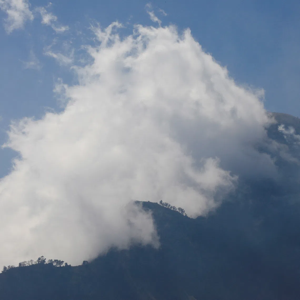 They were overwhelmed while battling flames on Oct 15 in Bromo Tengger Semeru National Park in East Java,