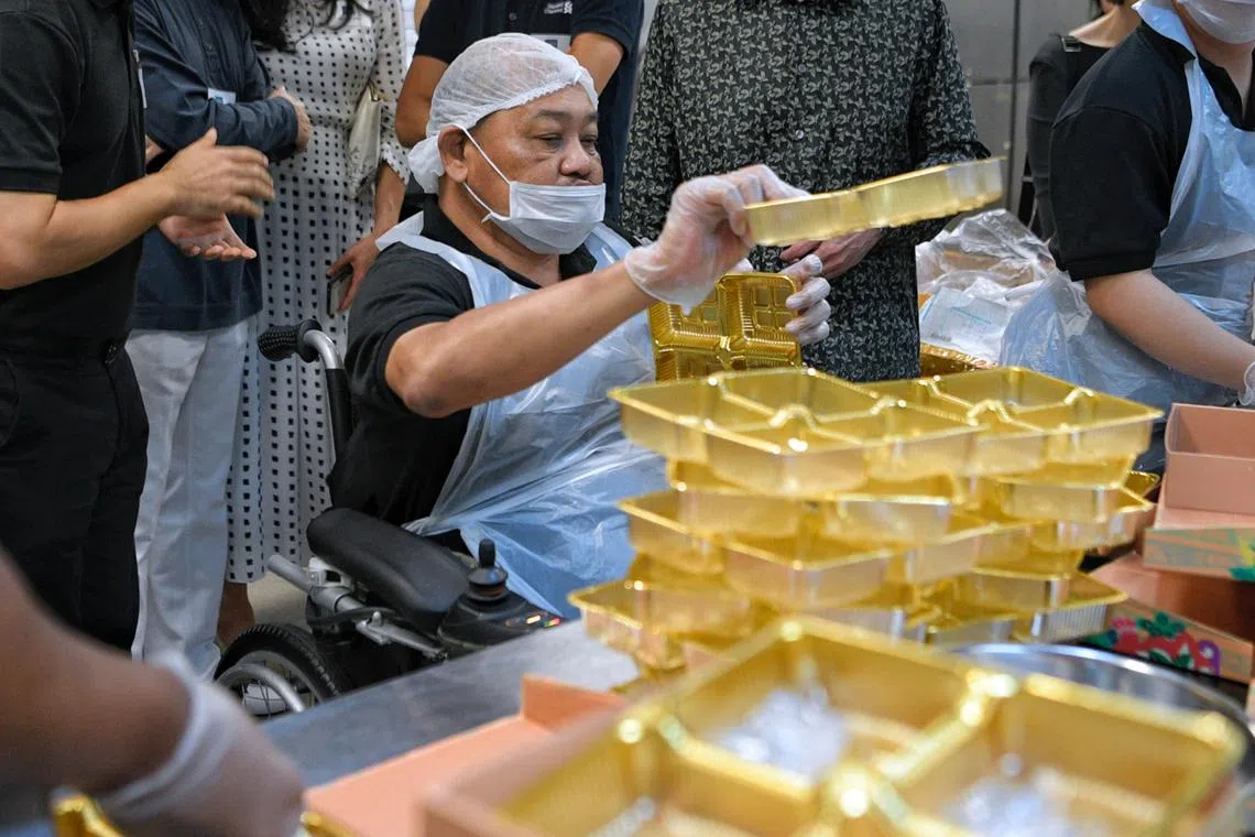 The government has adopted a series of Enabling Masterplans. 