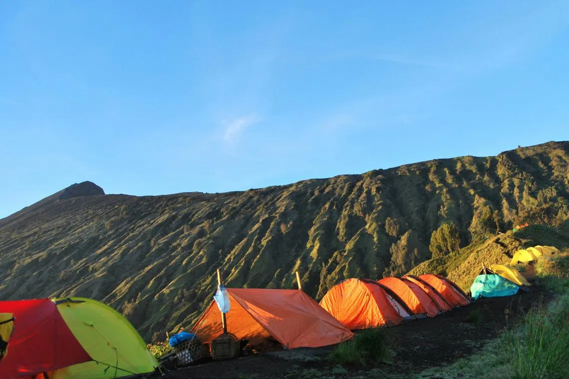 The woman identified by relatives and media reports as Ms Juliana Marins, 26, went missing on June 21 at Mount Rinjani on Lombok island.