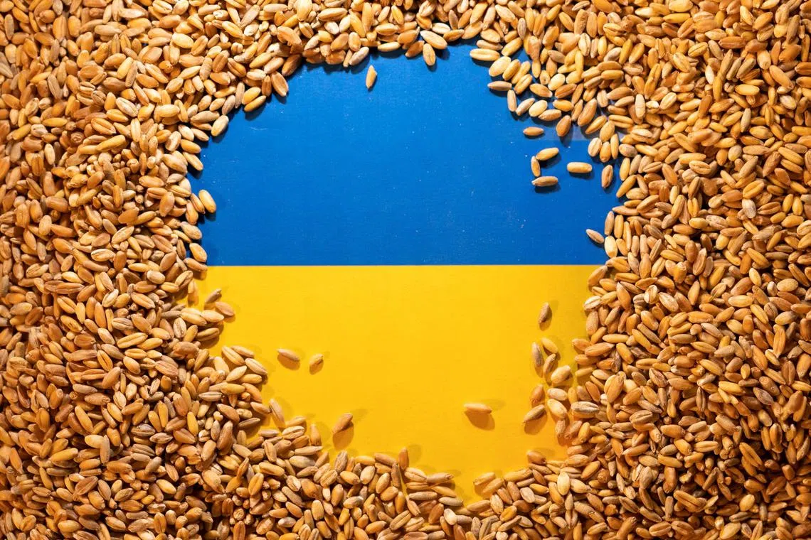 Russia and Ukraine are two of the world’s key agricultural producers, and major players in the wheat, barley and maize markets. 
