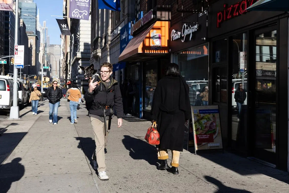 Mr Bryan Reisberg backpacks Brave, a shelter dog, around Manhattan while capturing a video for a social media post.