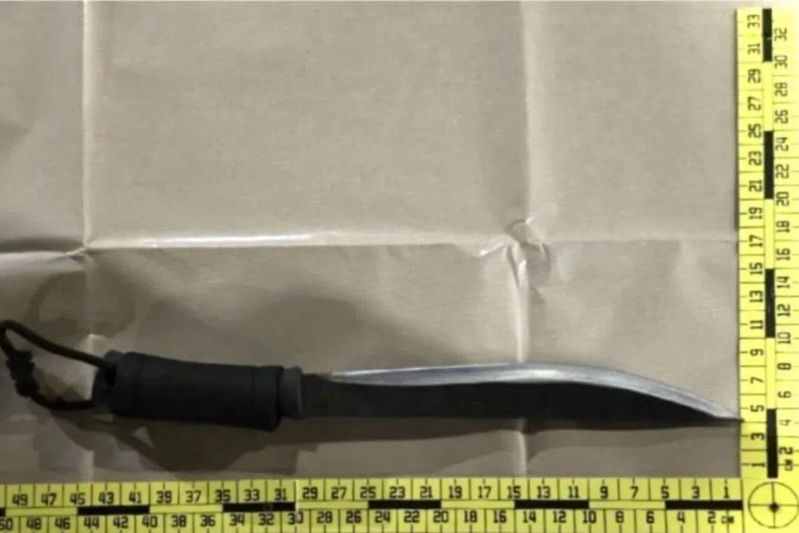 The 38-year-old is said to have also been armed with a parang measuring around 43cm long.