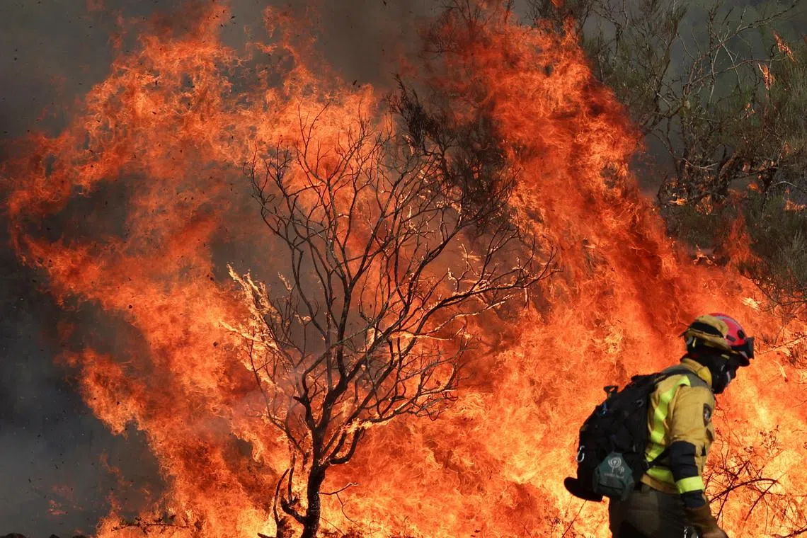 A firefighter battling a wildfire in the village of Parafita in Spain.