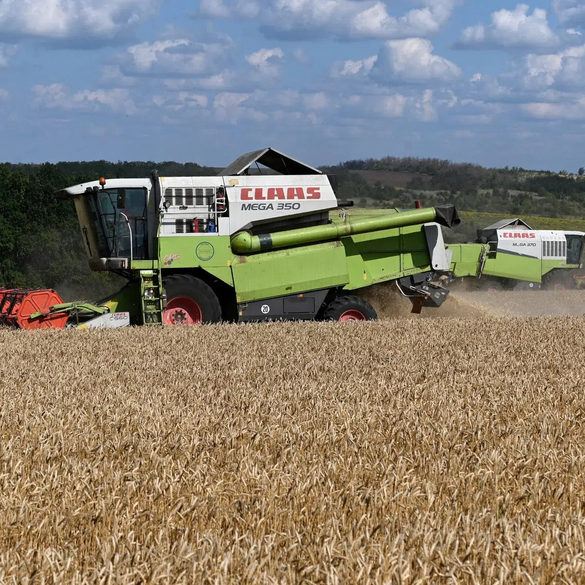 Сombines harvest wheat in a field in the Chertkovsky district of the Rostov region, Russia, July 25, 2025. REUTERS/Sergey Pivovarov