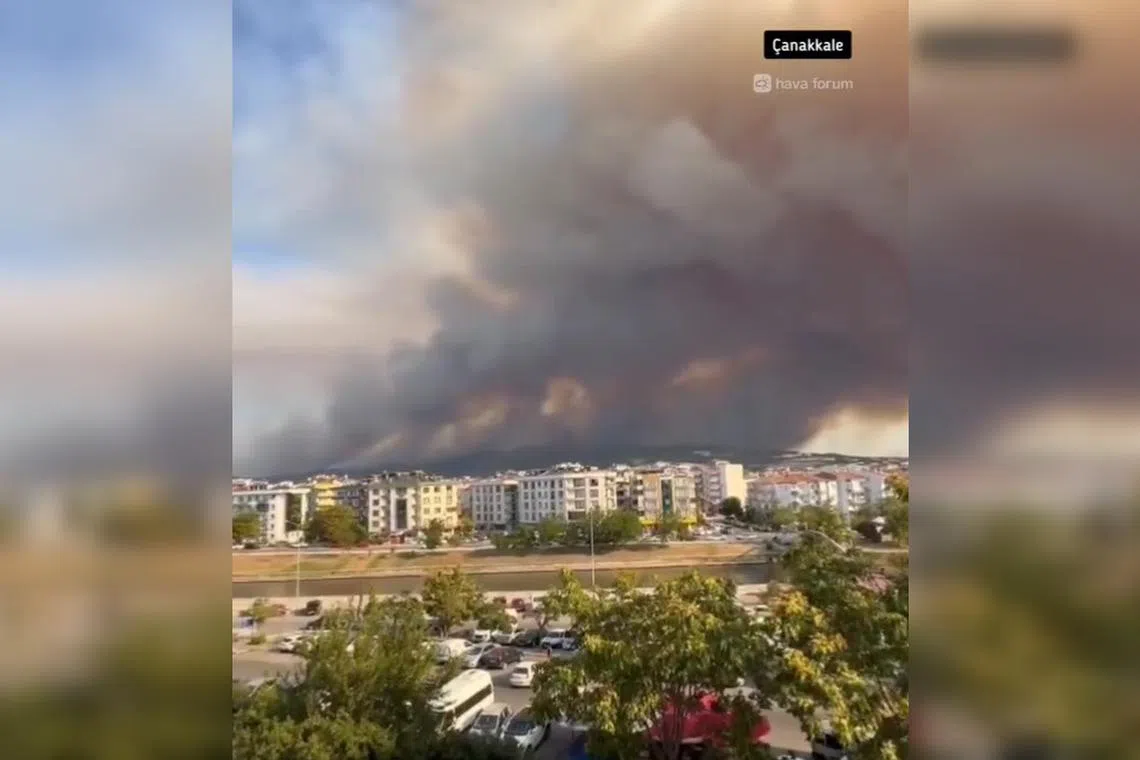 Shipping has been stopped because aircraft fighting the fire need to take water from the sea.