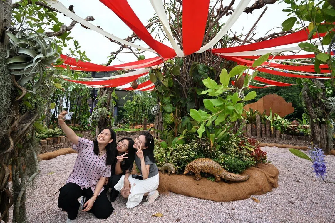 Three visitors take a wefie at the Nature?s Carousel Play Garden at the Singapore Garden Festival on July 2.