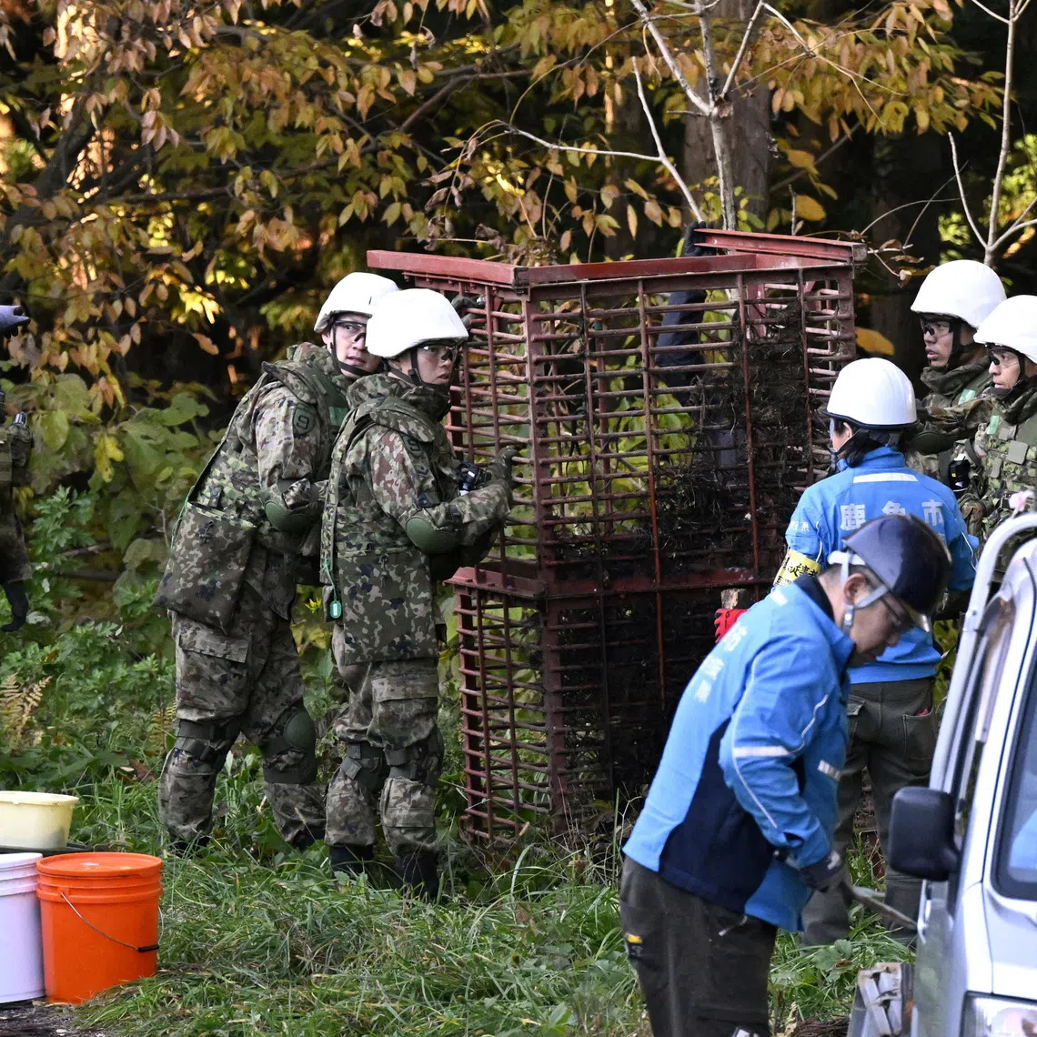 Members of Japan's Self-Defence Forces setting up a bear trap in Kazuno, Akita prefecture, on Nov 5.