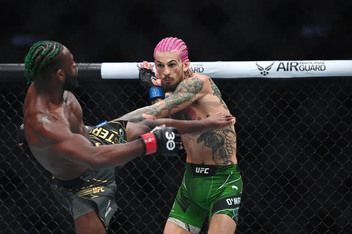 Aljamin Sterling (red gloves) fights Sean O’Malley during UFC 292 at TD Garden. 