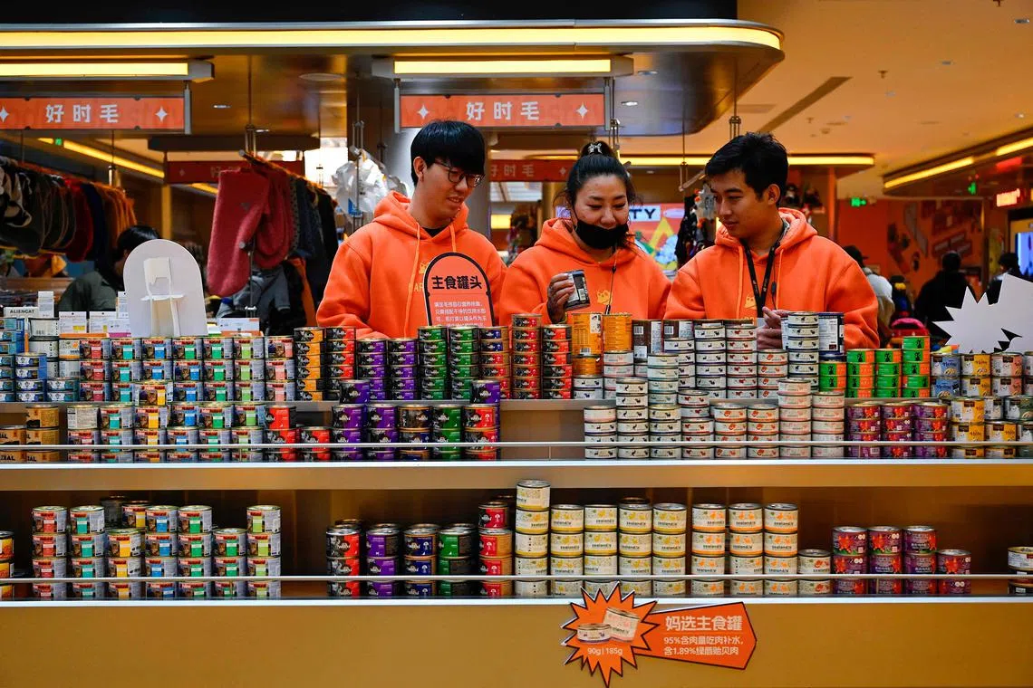 Canned pet food for sale at a pet store in Beijing. Spending on pet foods during this year’s “Singles’ Day” festival increased by almost 30 per cent.