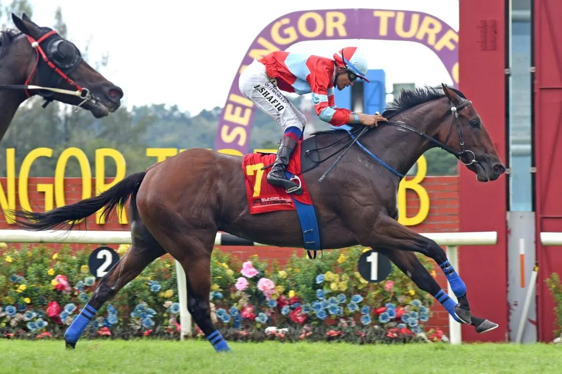 Fortune Tree - Fortune Tree

PHOTO: SELANGOR TURF CLUB