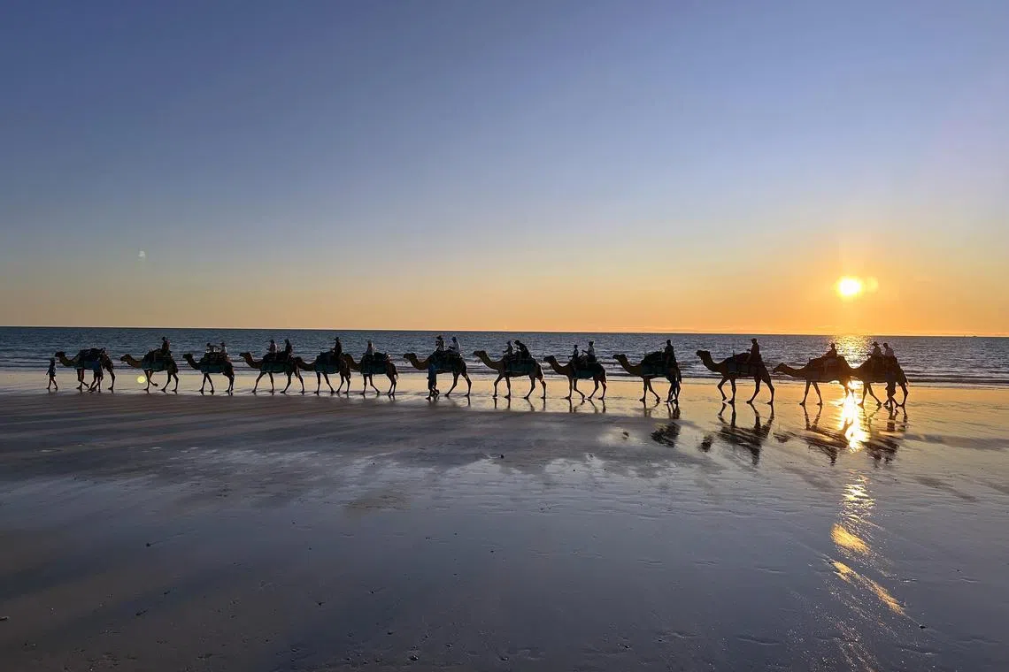 A popular image used to represent Broome is the sunset camel ride train along Cable Beach.