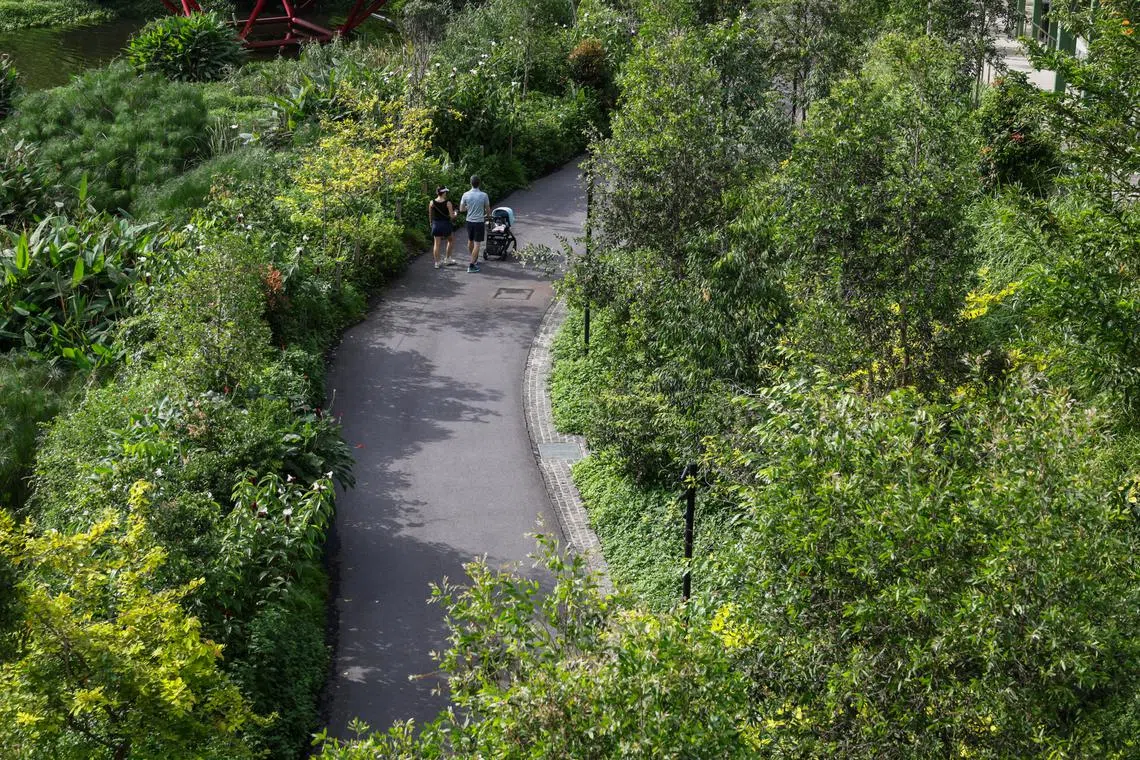 We know that arguments in favour of nature outline its most salient benefits: cooling effects, carbon sequestration and the like. 