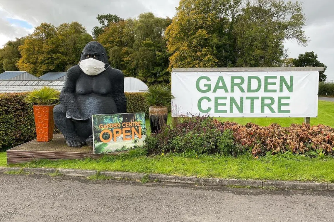Gary the gorilla was stolen between the hours of 10.30pm and midnight on March 19, and has not been seen since.