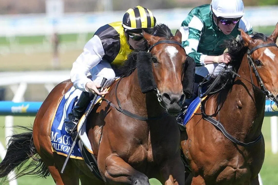 Torture (Ethan Brown) defeating stablemate Free Flying (Michael Dee) to win the Listed Magic Millions Debutant Stakes (1,000m) at her first start at Caulfield on Oct 15, 2025. 
PHOTO:  Racing Photos