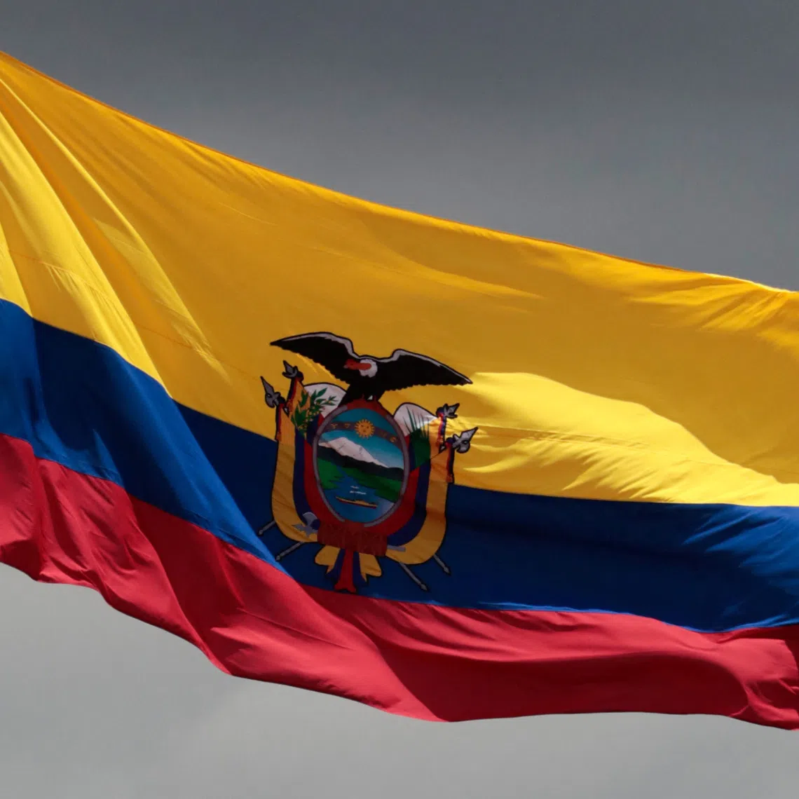 Ecuador’s Prosecutor’s Office announced that it “charges the seven defendants as indirect perpetrators for their alleged participation in the crime of #Murder”.