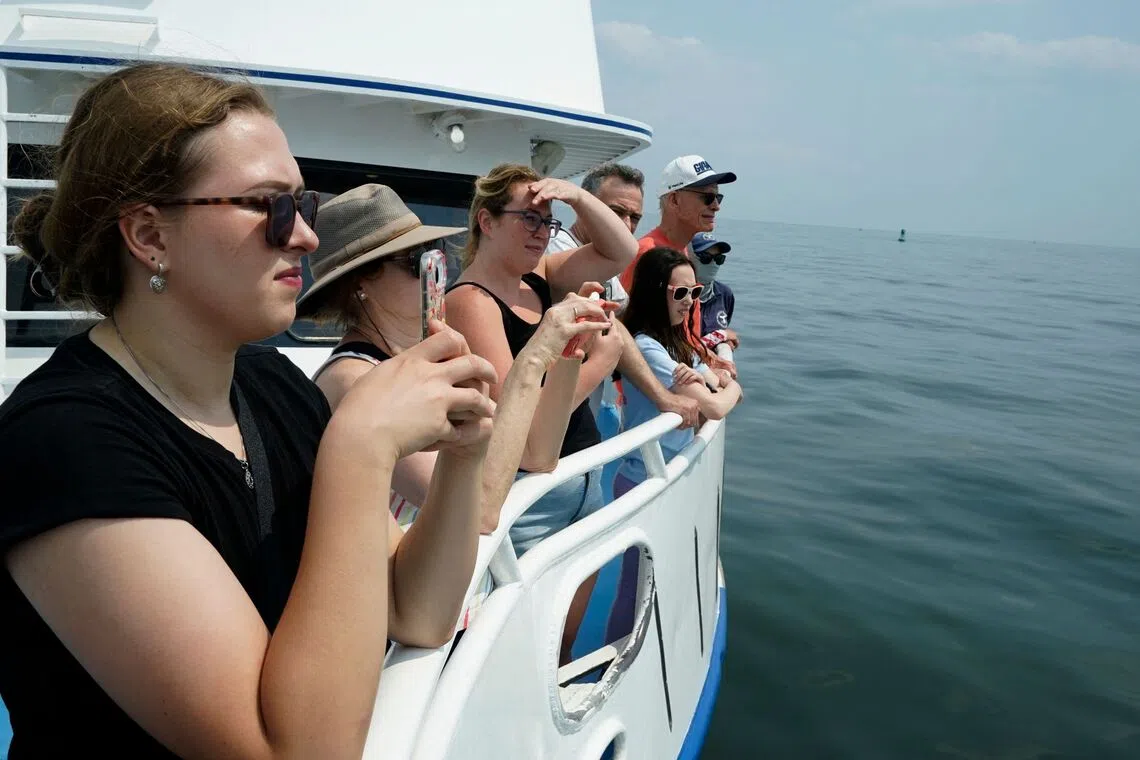 Tourists aboard the New York City Whale Watching and Dolphin Adventure Cruise ship look out as a humpback whale surfaces in the Atlantic Ocean off the coast of New York City, on Aug 13.