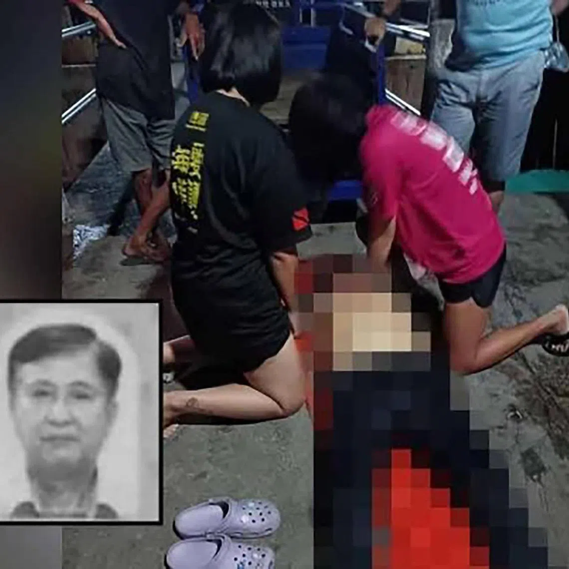 Mr Low Choon Foi, a retired engineer, had travelled to the island resort with 14 friends from Singapore for a short getaway. 