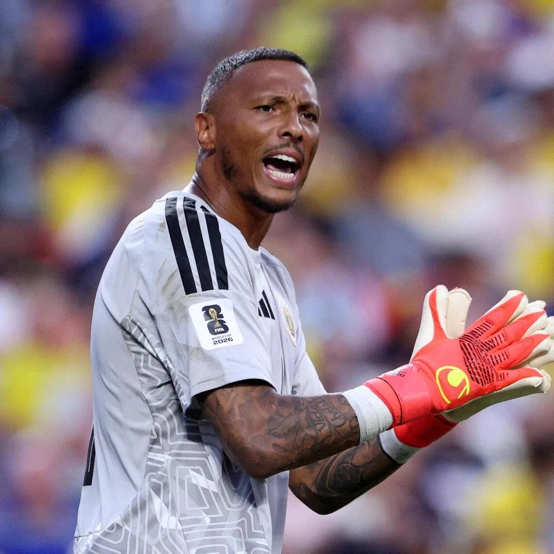 Curacao's 37-year-old goalkeeper Eloy Room first played for them in 2015, and says it was his dream to make it to the World Cup with the Caribbean island nation.