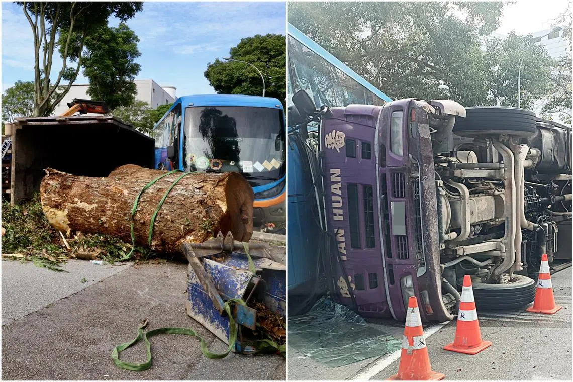 The tree trunk along with a huge pile of branches and leaves seem to have fallen out of the container on the back of the lorry. 