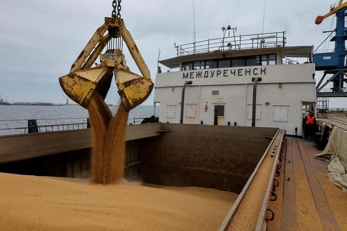 Israel’s Haaretz newspaper said four shipments of grain from occupied Ukraine had already been unloaded in Israel in 2026.