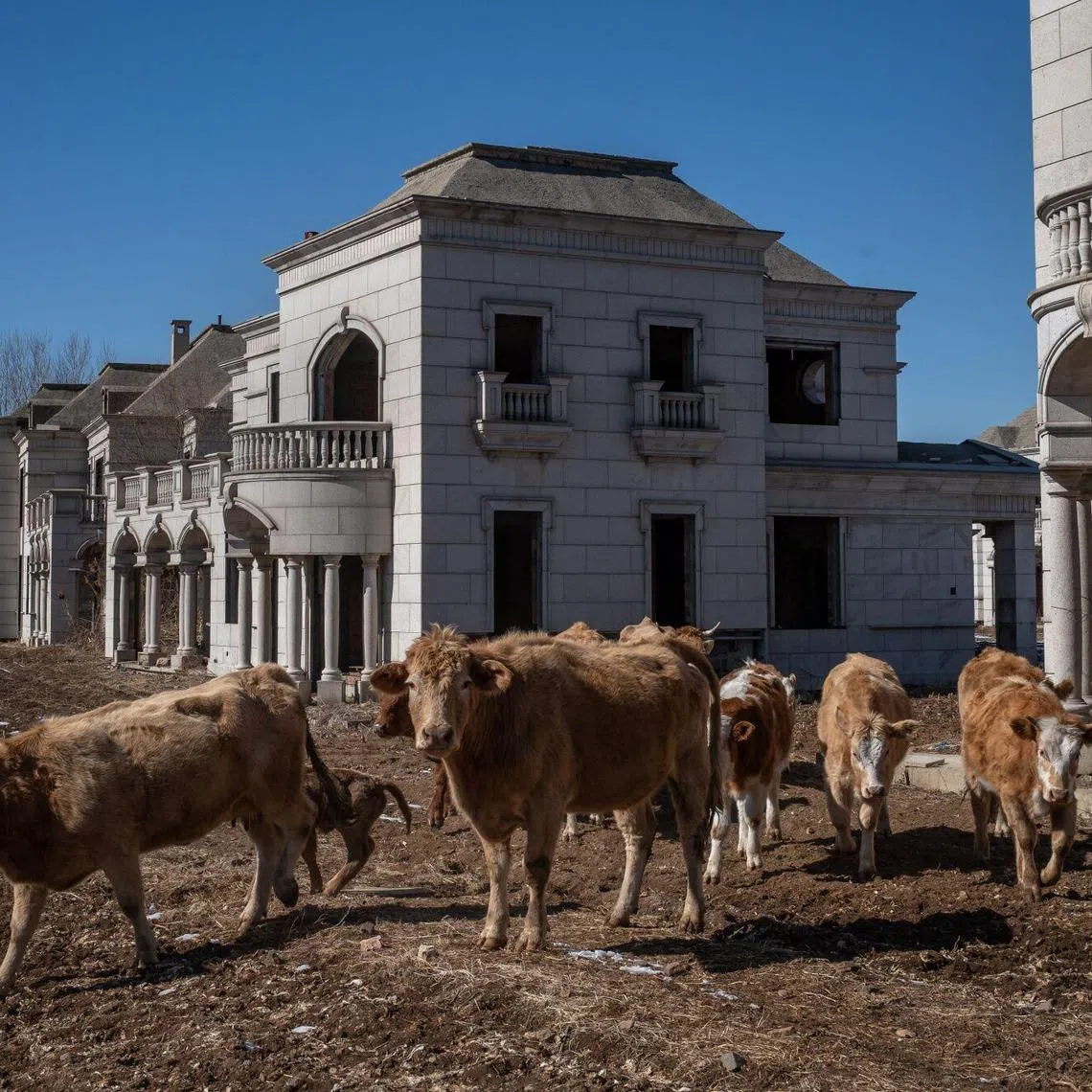 Uncompleted residential buildings at the State Guesthouse real estate project, on the outskirts of Shenyang, Liaoning Province, China.