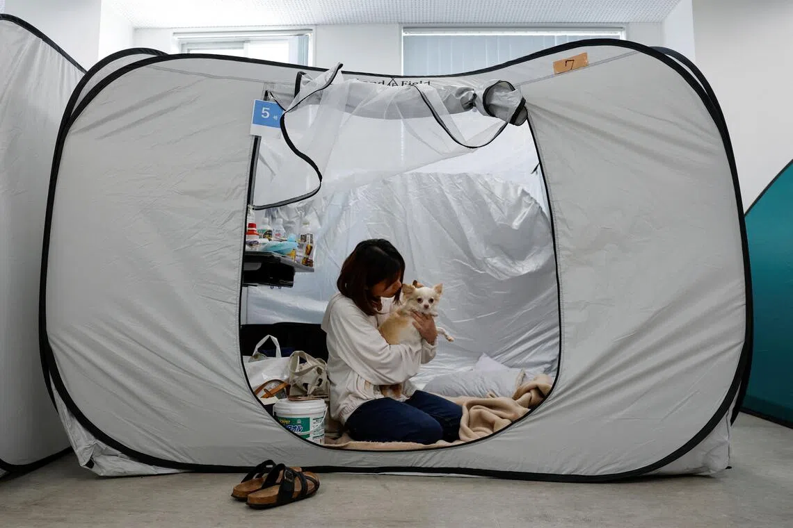 Tomoko Takaoka, 31, in her tent with her pet dogs Ku and Sheri at the Kyushu Animal Academy on July 31.