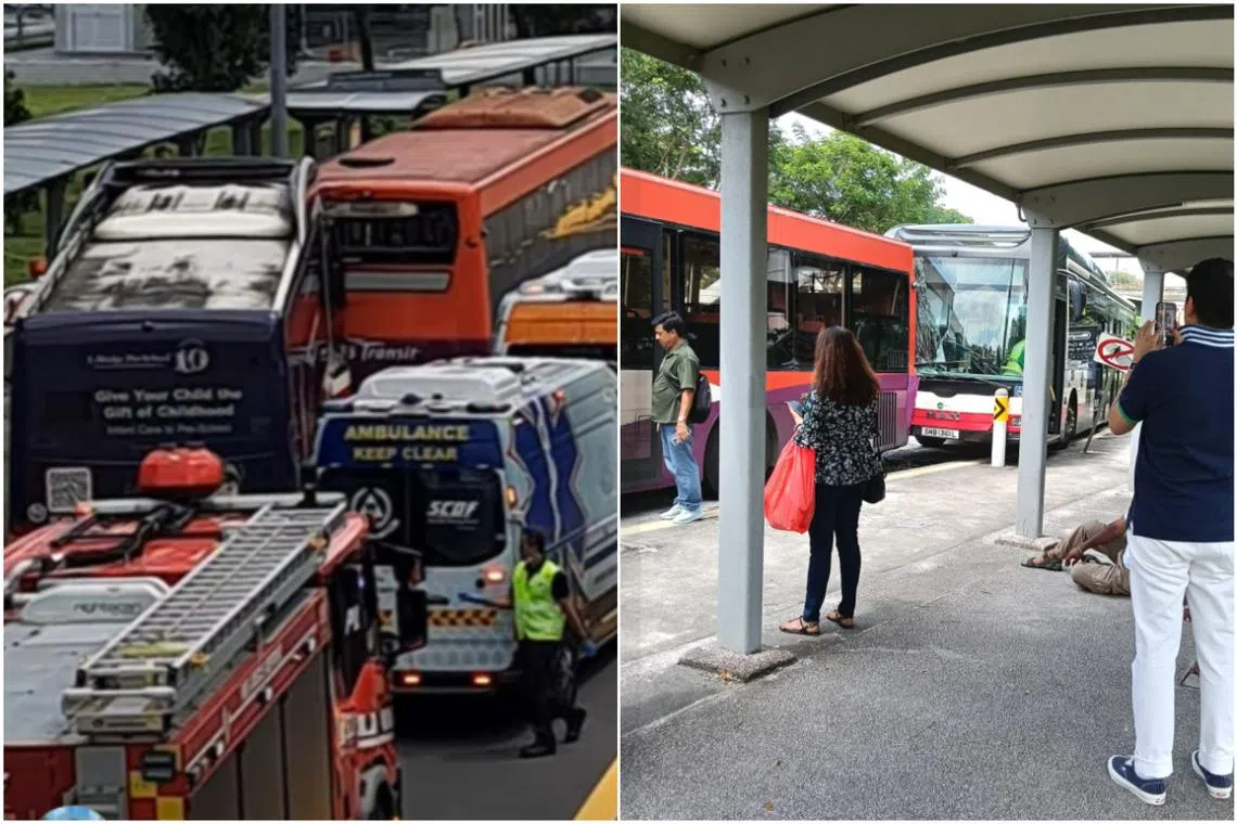 A Tower Transit bus driver was suspended after a road accident involving two buses.