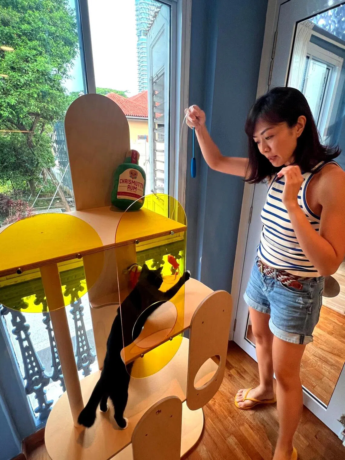 & Cat Studio co-founder Gail Low playing with a cat. The cat hotel is in Kampong Glam.