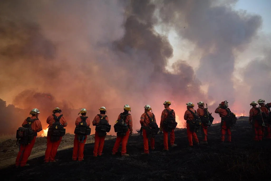 An inmate fire crew helping to battle the Canyon Fire in Castaic, California, on Aug 7, 2025. 