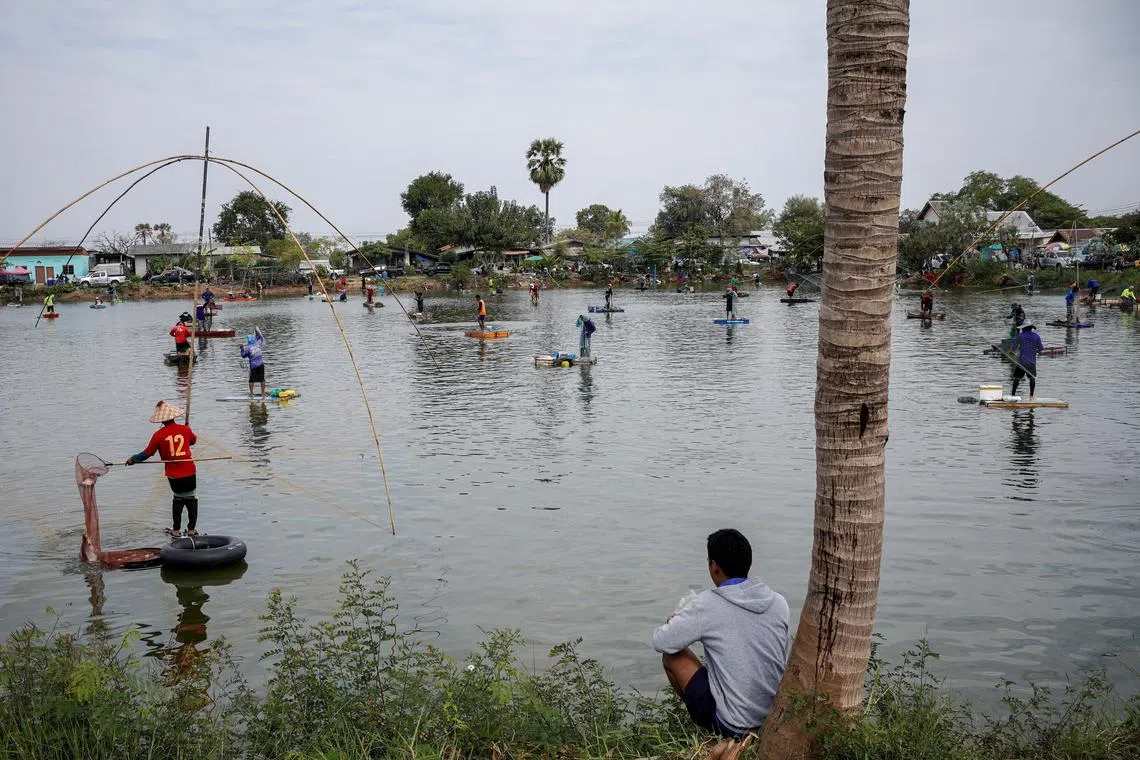 People fish in a pond on the outskirts of Buriram province, Thailand, January 28, 2024. REUTERS/Athit Perawongmetha