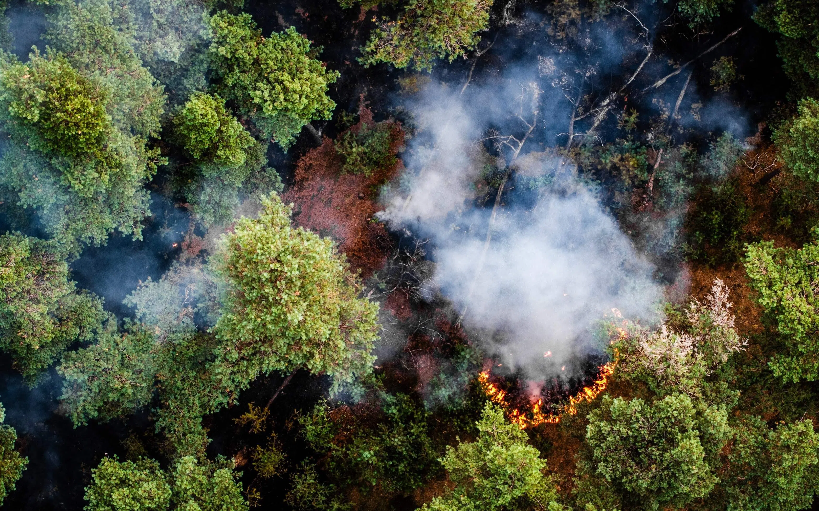 Gusty winds are creating problems for firefighters tackling a blaze in a nature reserve near the village of Oostrum, the Netherlands. The fire spread overnight to engulf 100 hectares of territory.