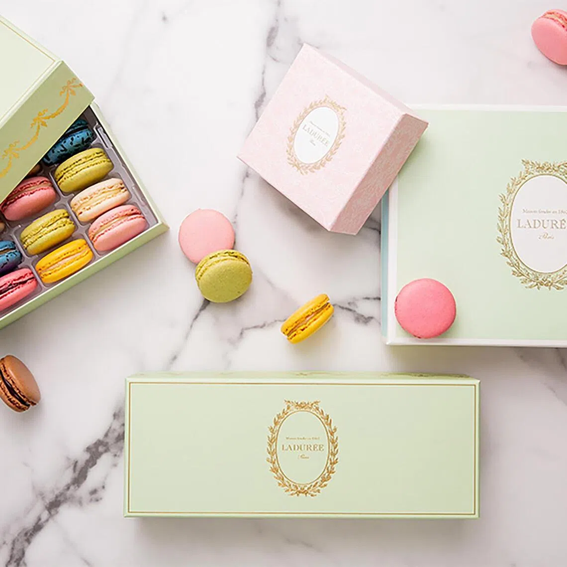 eqladuree03 - Event Landscape


Source and copyright: LADUREE