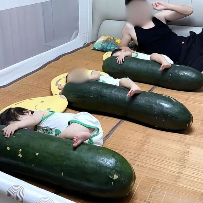 When pressed against the human body, winter melons can draw away surface heat and deliver cooling effects.
