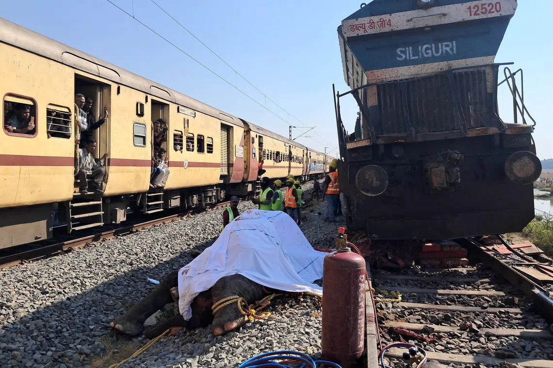 Train passengers use their mobile phones to take photographs of a dead elephant after it was hit by a train in Hojai district in the eastern state of Assam, India, December 20, 2025. REUTERS/Biki Das