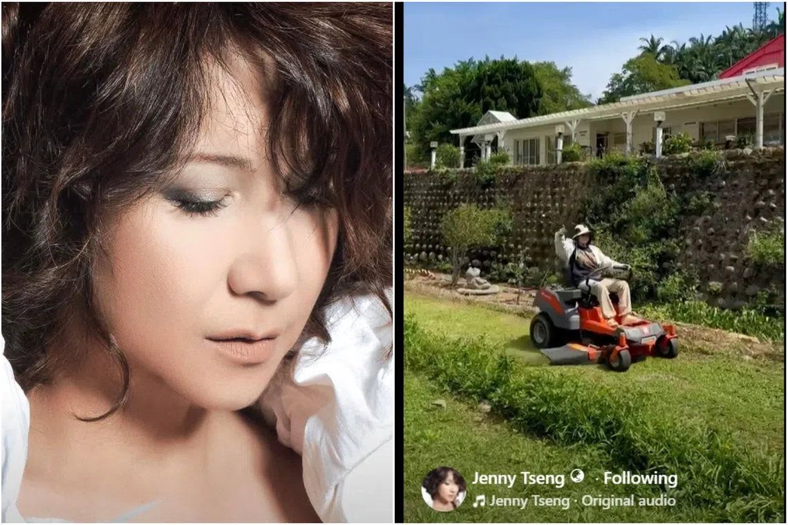 Jenny Tseng shared a video of herself operating a lawnmower and tending to her plants on Facebook on Aug 2.
