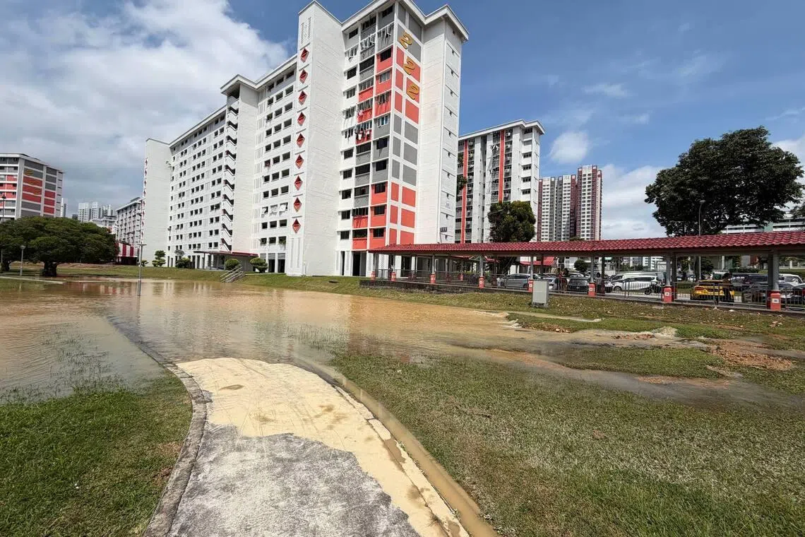 Water flowing out from the ground at a grass patch beside block 222 Ang Mo Kio Avenue 1 on Jan 11.