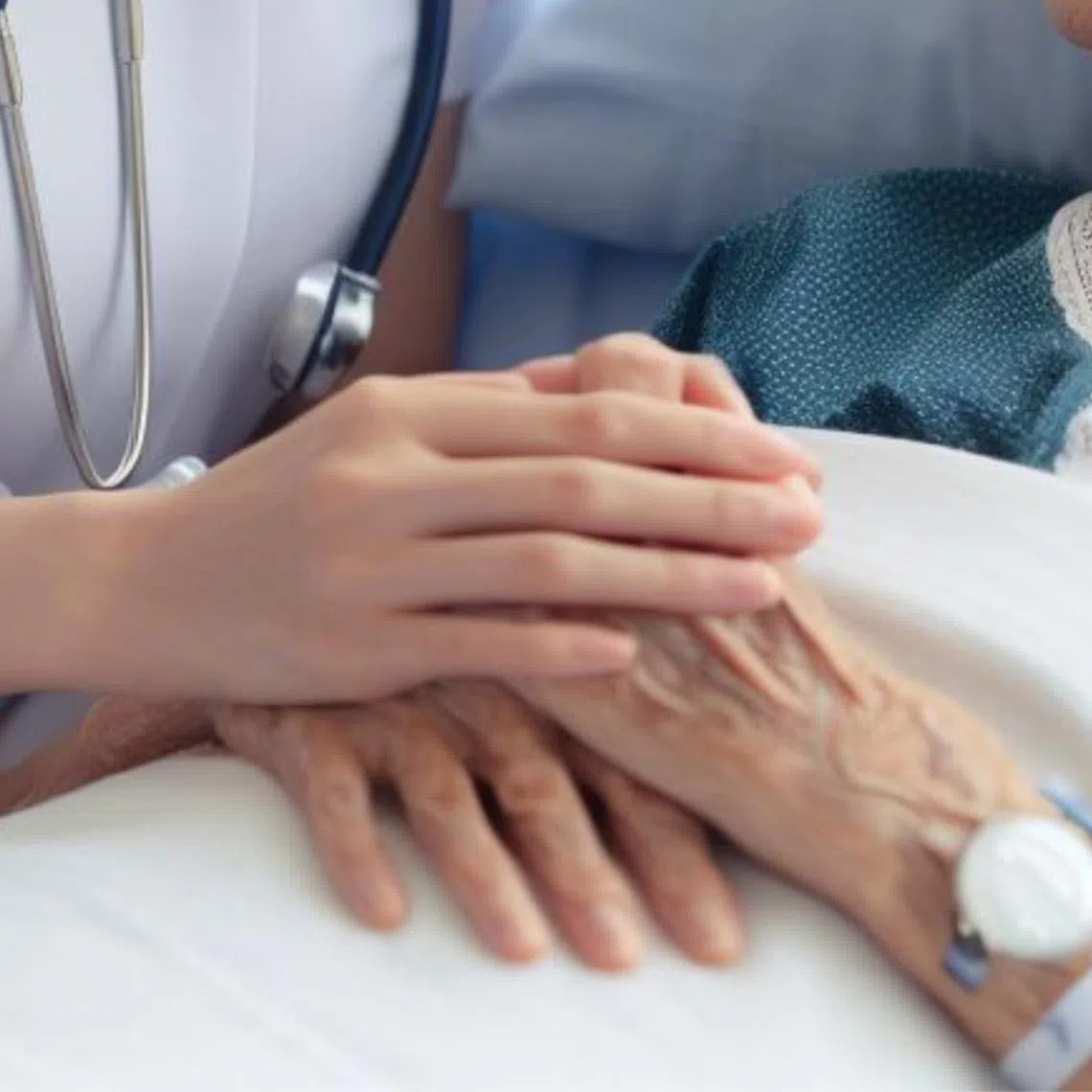 A new portal provides real-time information on the home hospices’ capacity in Singapore.