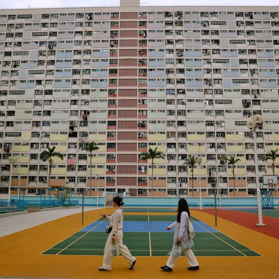 The government on April 14 abruptly halted plans to launch basketball betting, months after the legislature had passed a Bill to legalise it, and a year after the idea was set into motion.