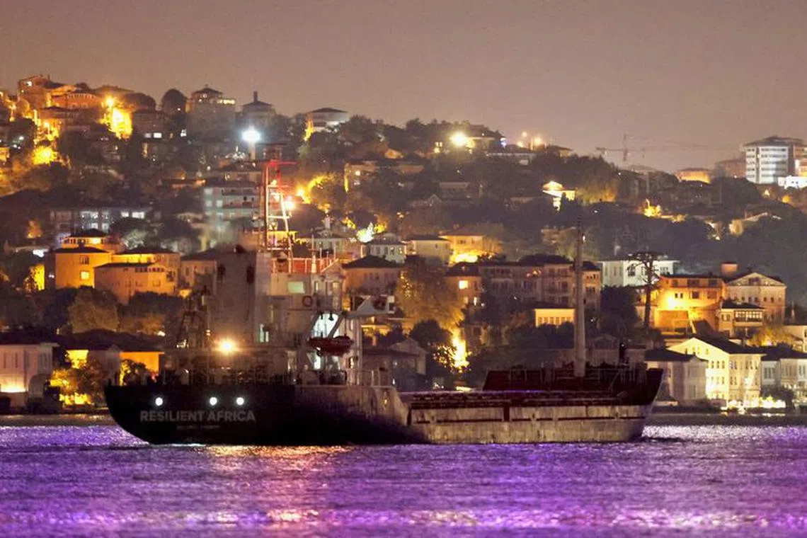 Palau-flagged cargo ship Resilient Africa, carrying Ukrainian grain, transits Bosphorus in Istanbul, Turkey September 22, 2023. REUTERS/Yoruk Isik/ File Photo