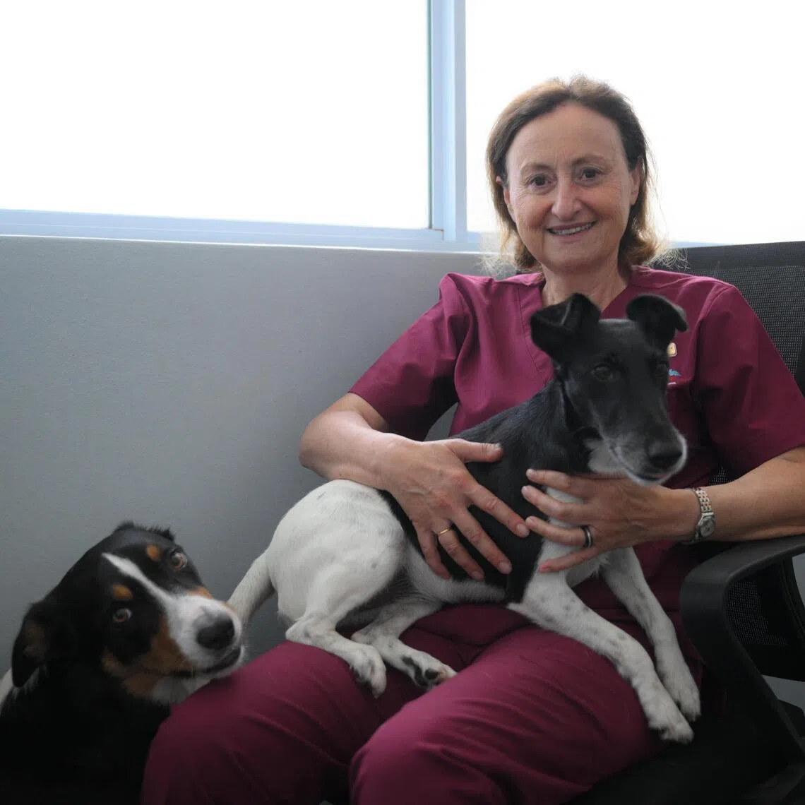 Dr Emmanuelle Titeux, Singapore’s first board-certified specialist in Veterinary Behavioural Medicine, pictured with her dogs Scapim (left), four and a half and Sam Sam, five, at Beecroft Animal Specialist and Emergency Hospital on April 22, 2026.
