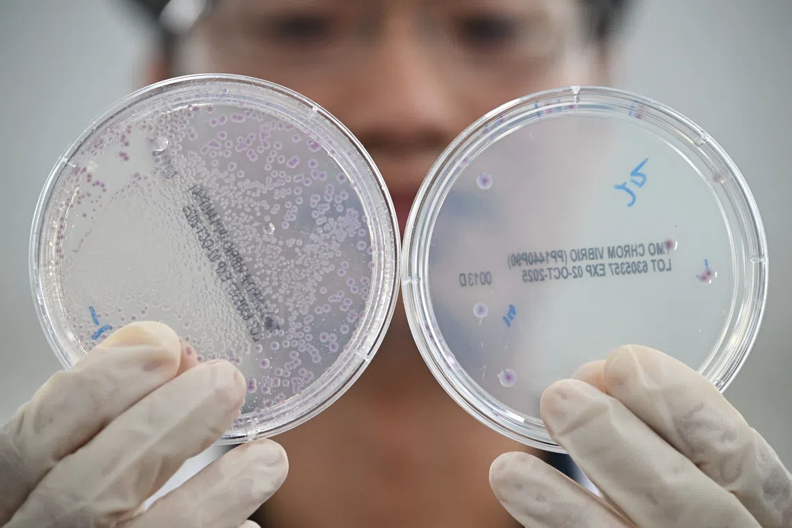 Singapore has built the organs of a research nation with deep scientific capabilities, talent, infrastructure and public investment.